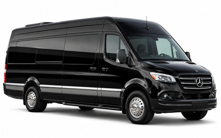 Black Mercedes Sprinter van