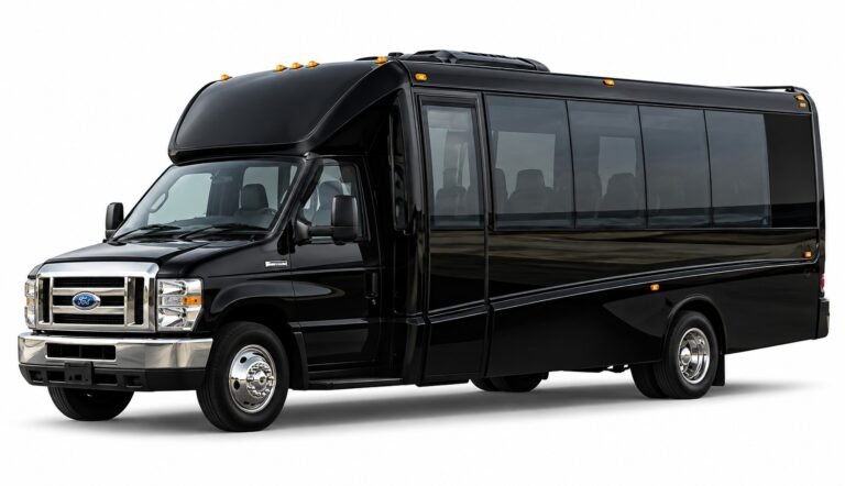 Black Ford mini bus
