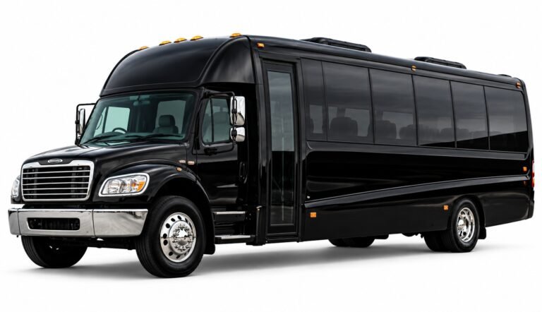 Black 36-passenger coach bus